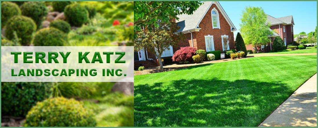 Landscape Installation