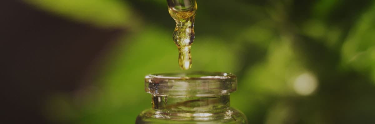CBD Oil