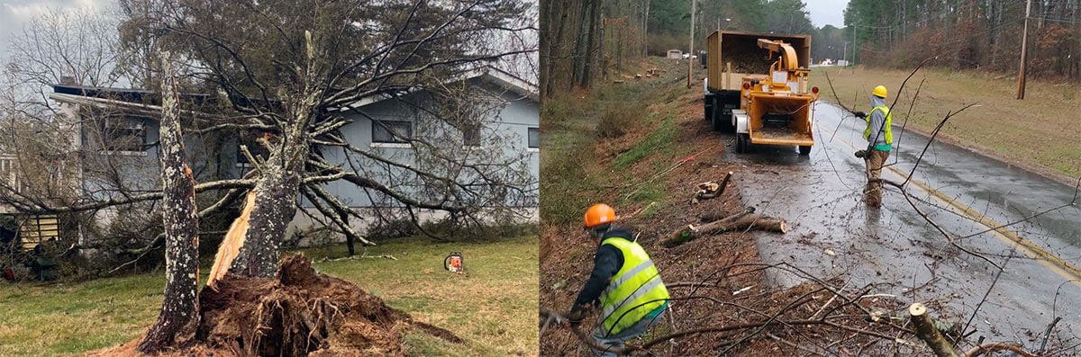 Emergency Tree Service