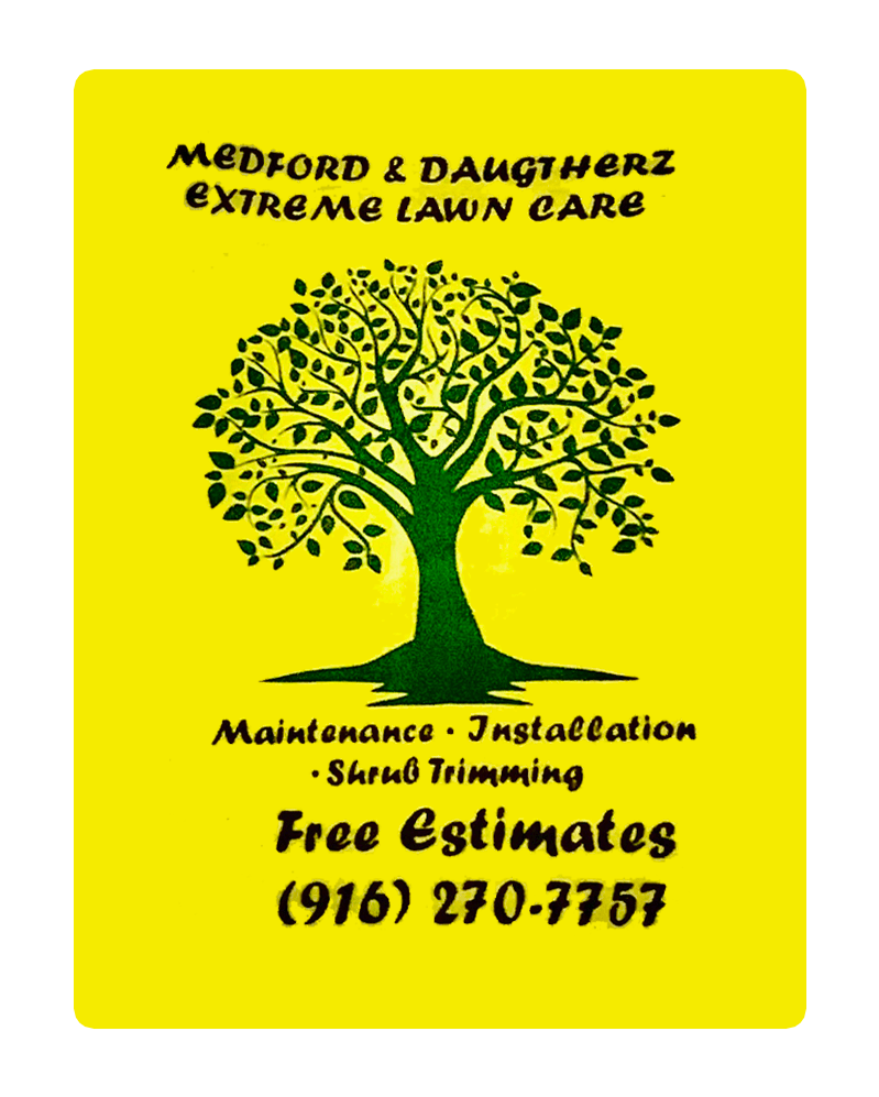 Medford & Daughterz Extreme Lawn Care