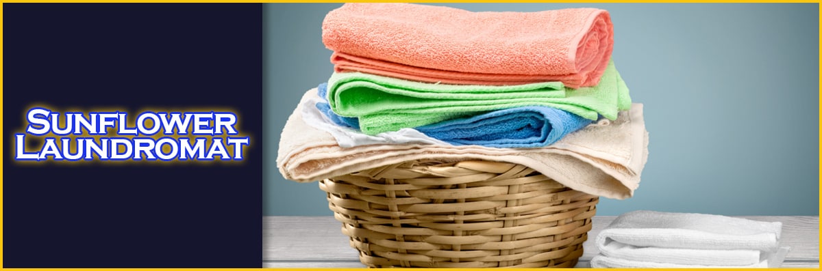 Laundry Delivery Service