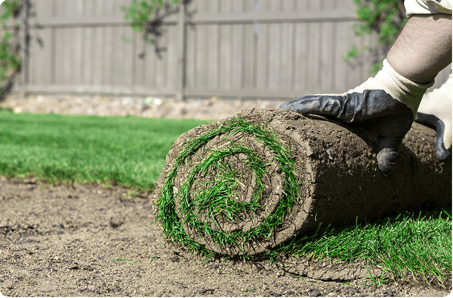 SOD INSTALLATION