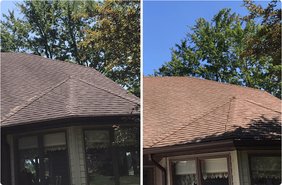 Roof Cleaning