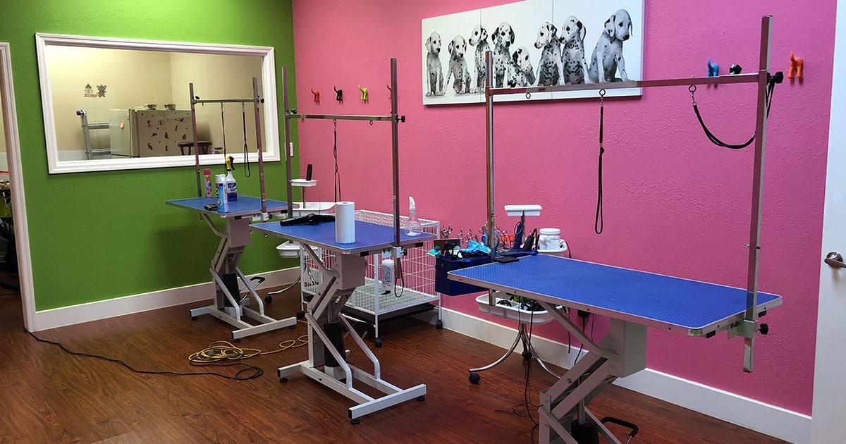 King Of Pet Grooming Puppy Sales