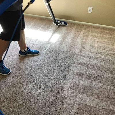 Carpet Cleaning
