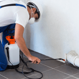 Commercial Pest Control