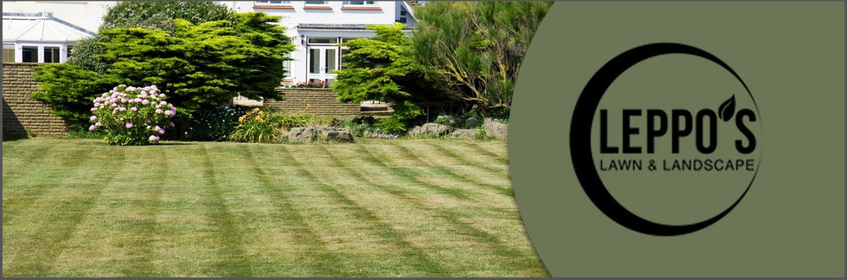 Landscaping Services