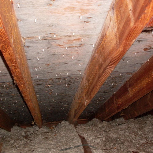 Charter Oak Environmental, LLC is an Environmental Consultant in