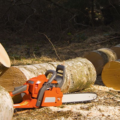 Tree Cutting