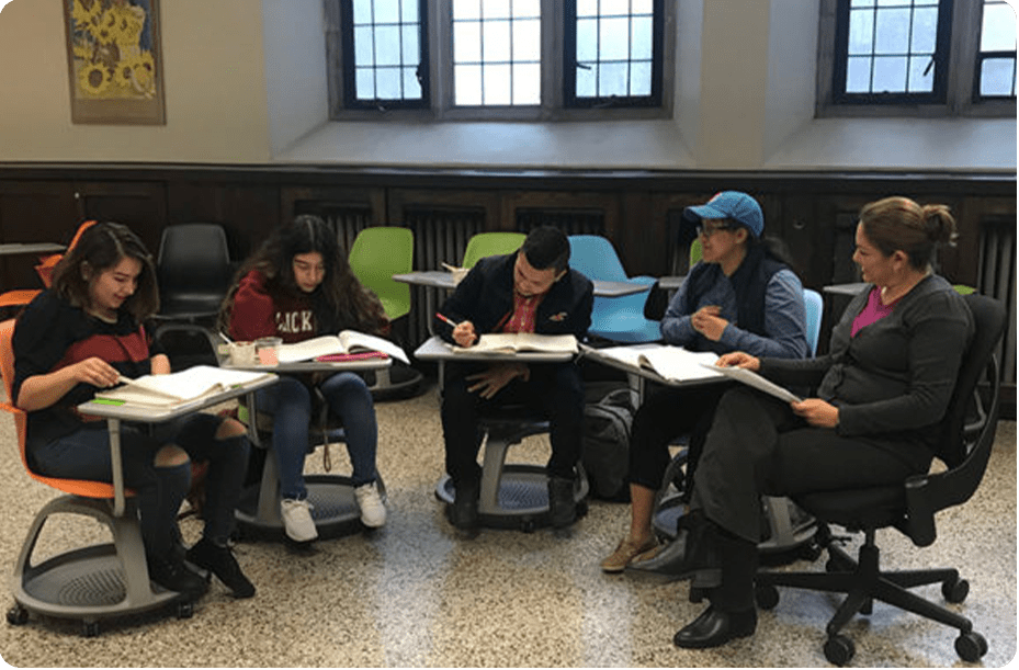 Language School