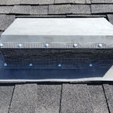 Pest Control and Removal