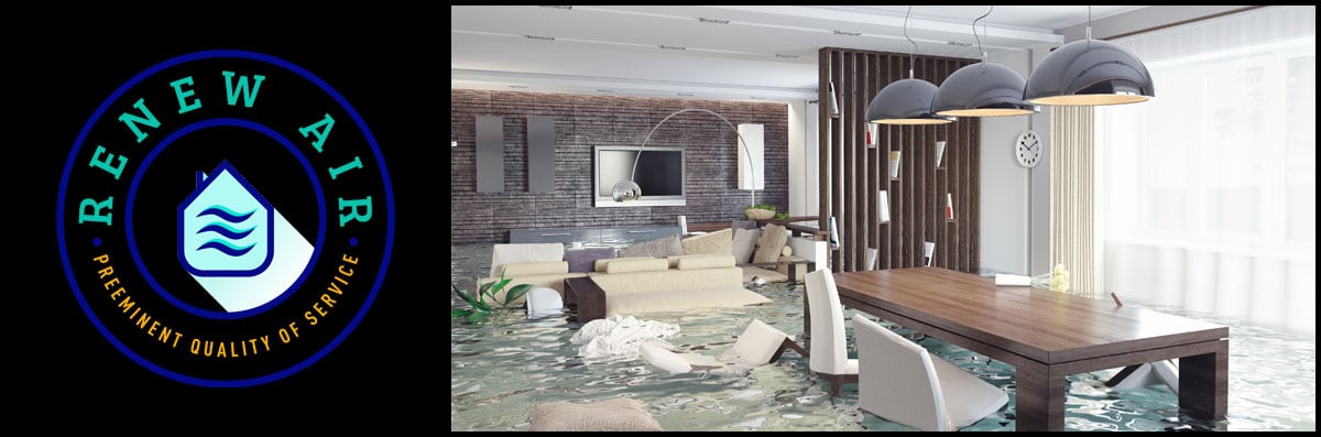 Disaster Restoration