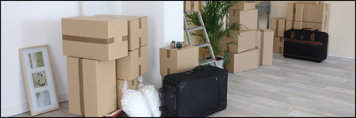 Move Out Cleaning
