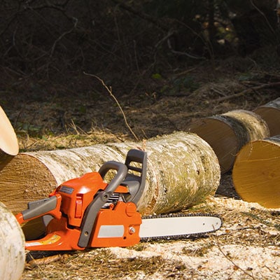 Tree Removal