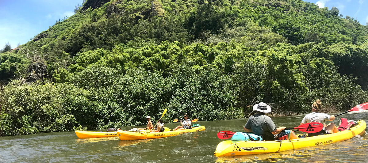 Guided Kayak Tours