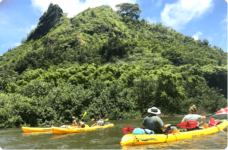 Guided Kayak Tours