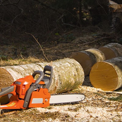 Tree Removal
