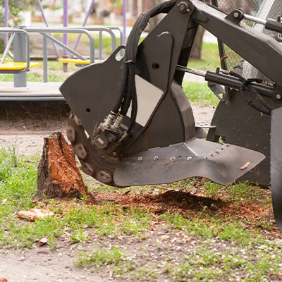 Stump Grinding