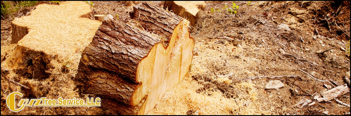 Stump Grinding