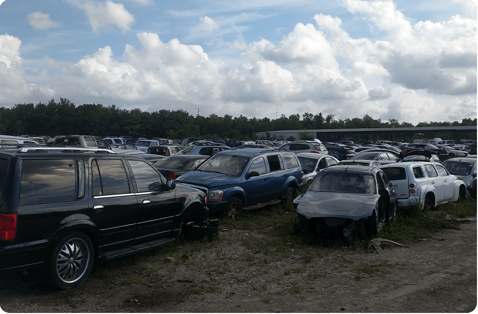 Junk Yard