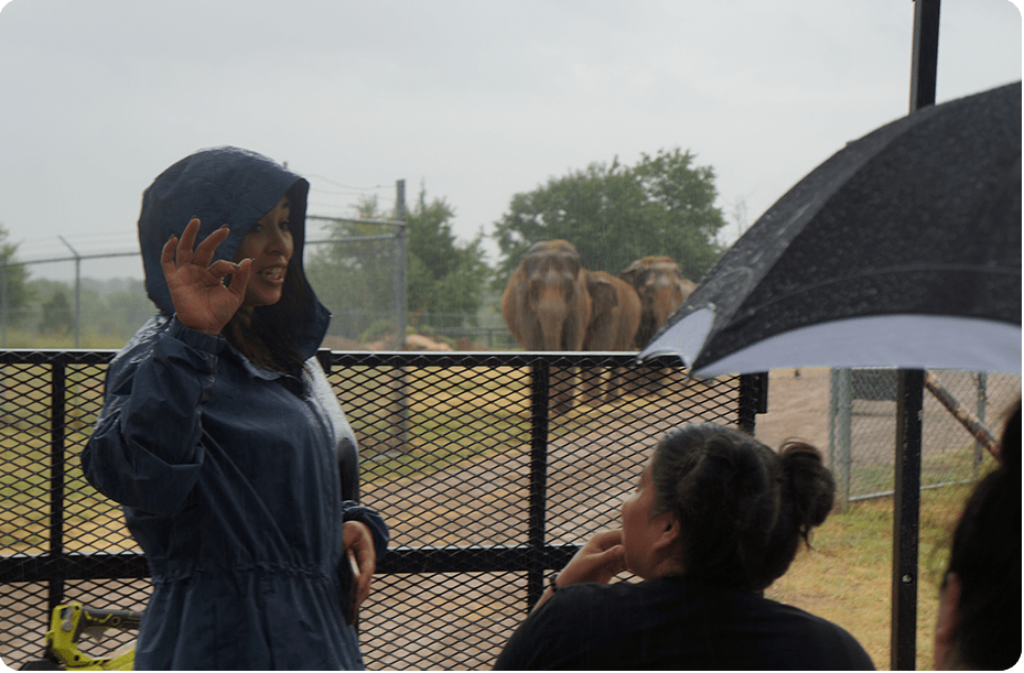 Elephant Expeditions