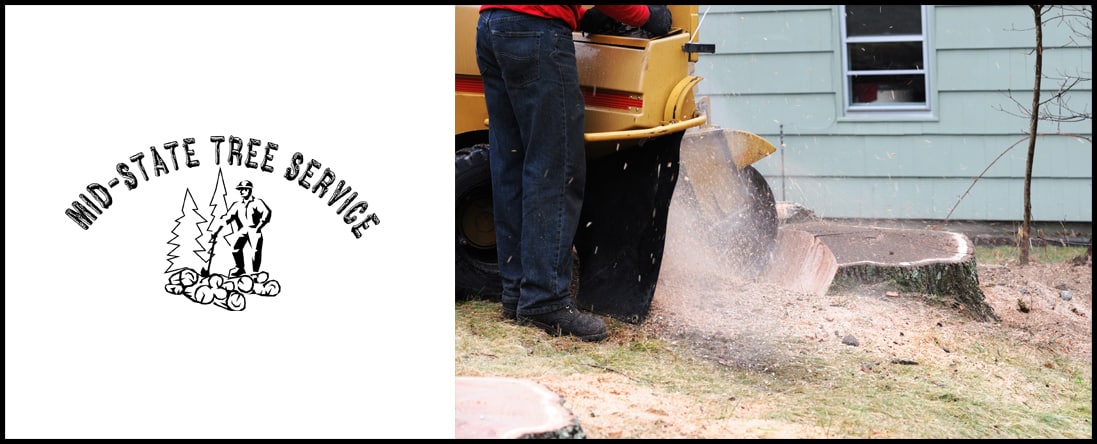 Stump Grinding