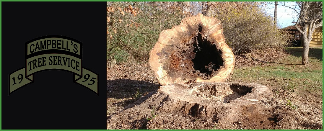 Stump Removal
