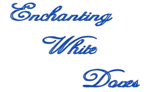 Enchanting White Doves