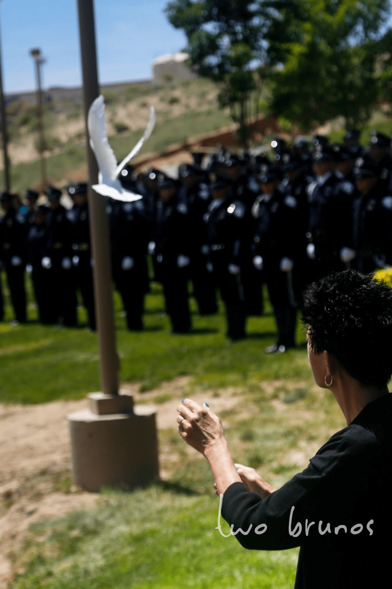 Enchanting White Doves Offers Doves for Videos in Albuquerque, NM 87114