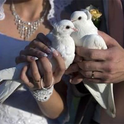 Wedding Doves