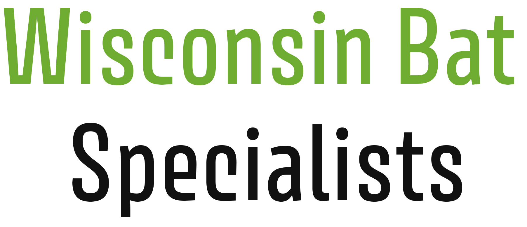 Wisconsin Bat Specialists