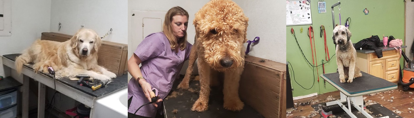 banfield dog grooming