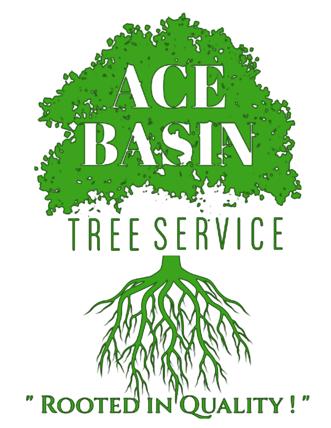Ace Basin Tree Services Offers Tree Care Services in Walterboro, SC 29488