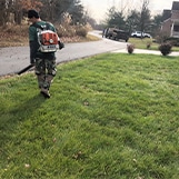 Lawn Care Maintenance