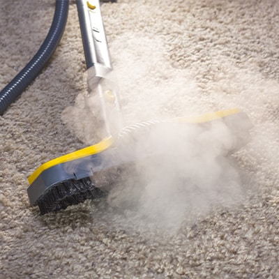 Carpet Cleaning
