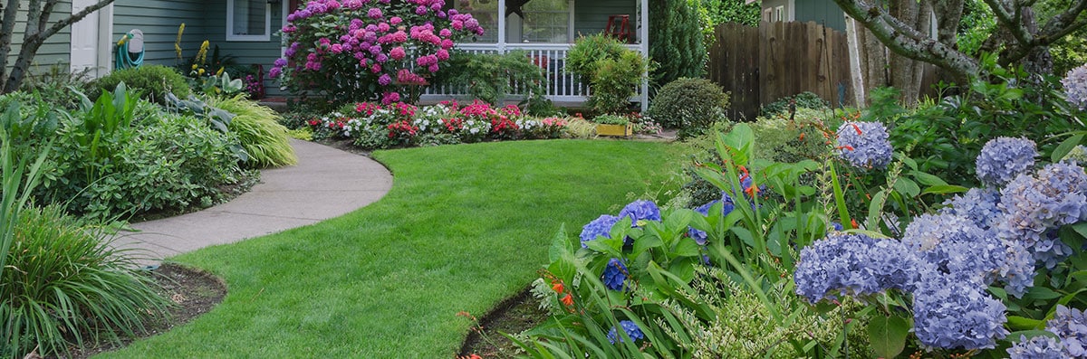 Landscaping Renovations