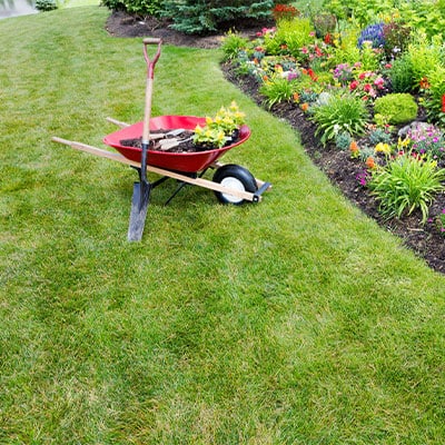 Lawn Care Service