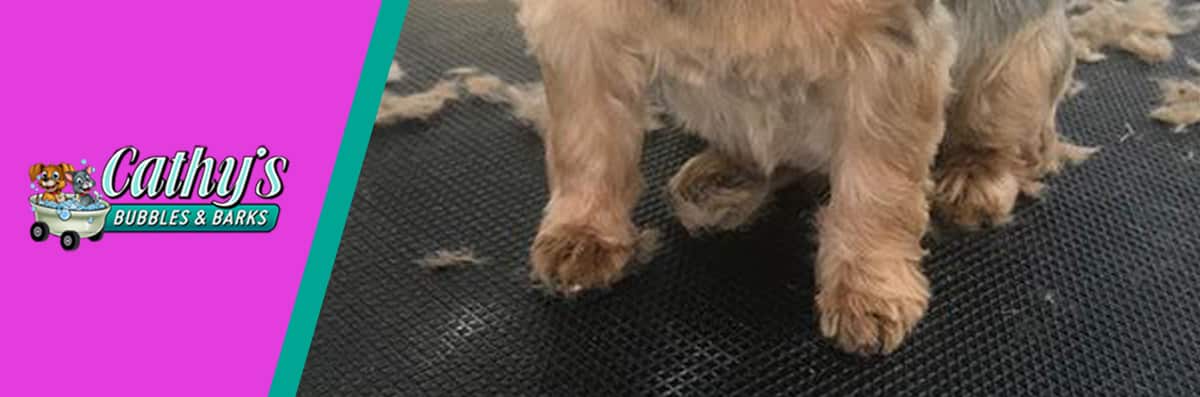 Nail Trimming