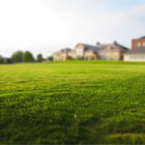 Lawn Maintenance