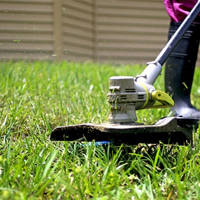 Lawn Maintenance