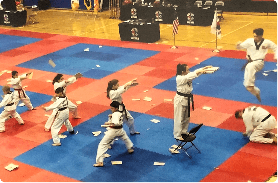 Taekwondo