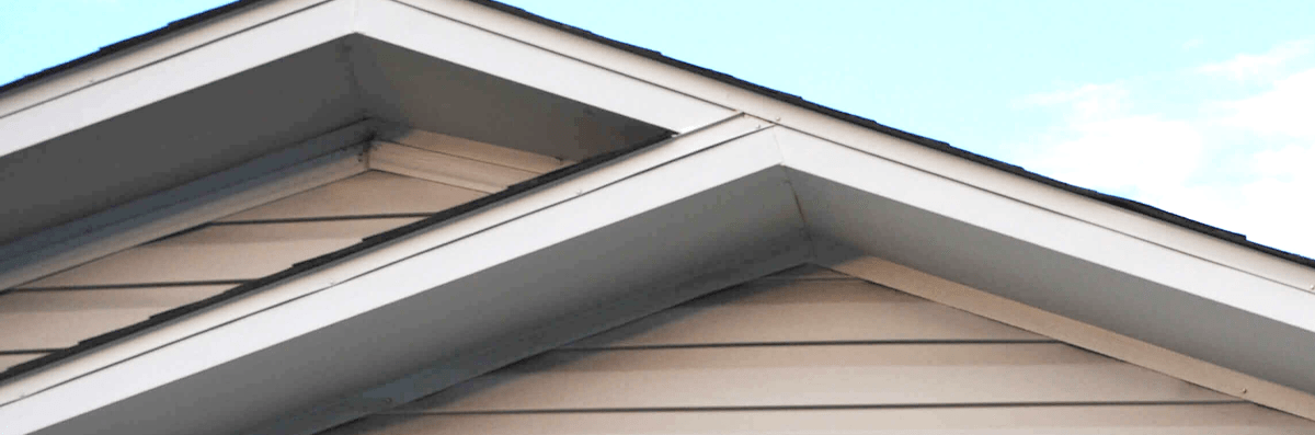 Fascia Repair