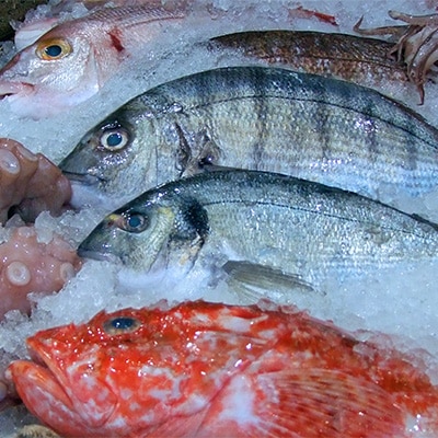 Fresh Fish