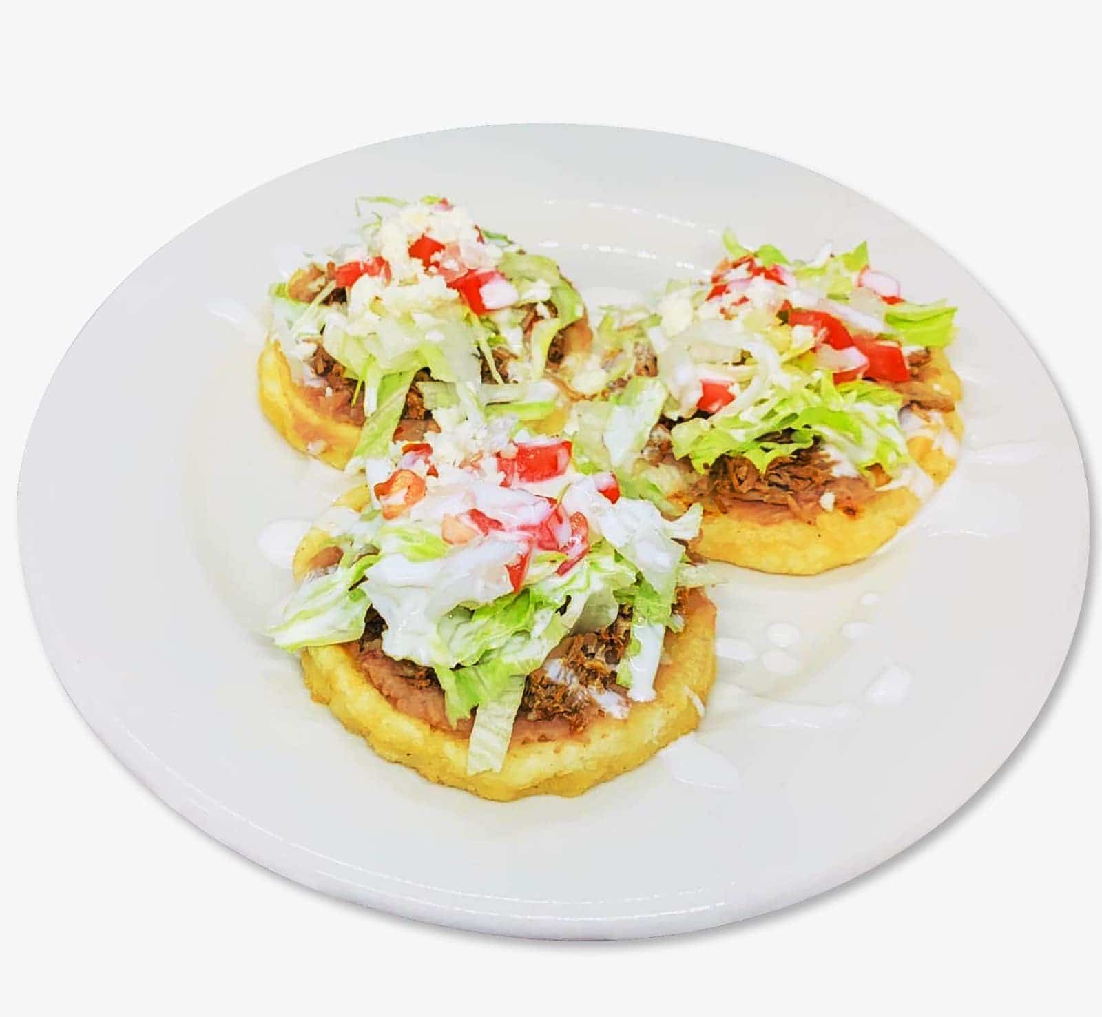 De La Fuente Tacos De Birria Serves Mexican Cuisine in Arlington, TX 76016