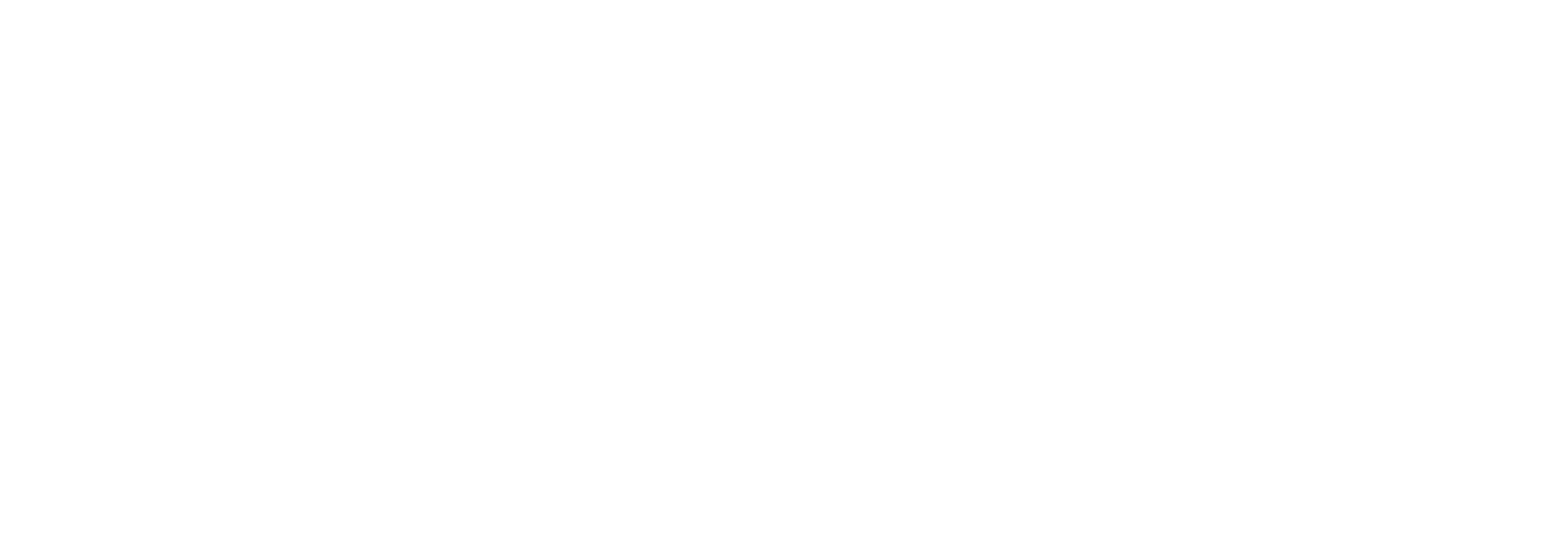 Bread of Life Vision, LLC