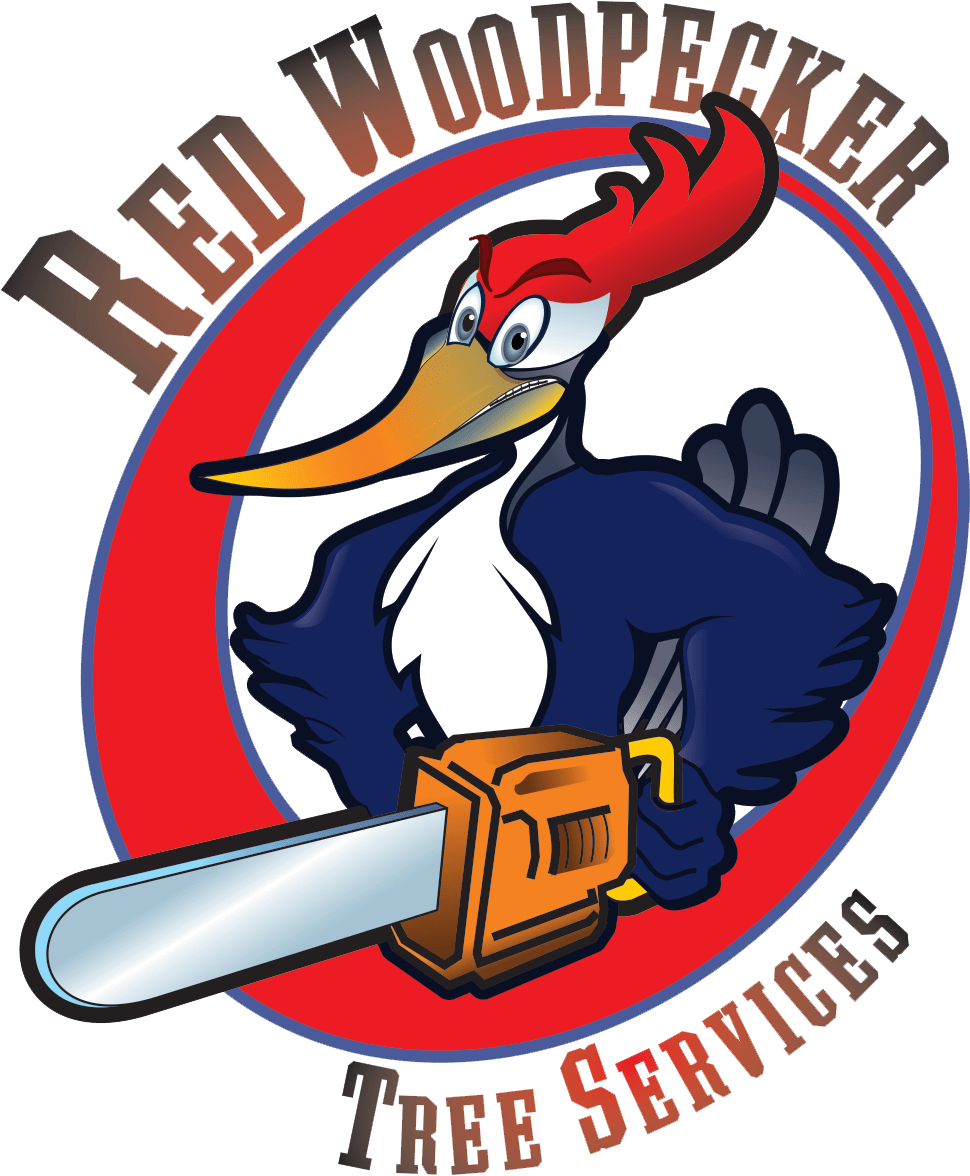 Red Woodpecker Tree Service Offers Tree Care in Aurora, IL 60505