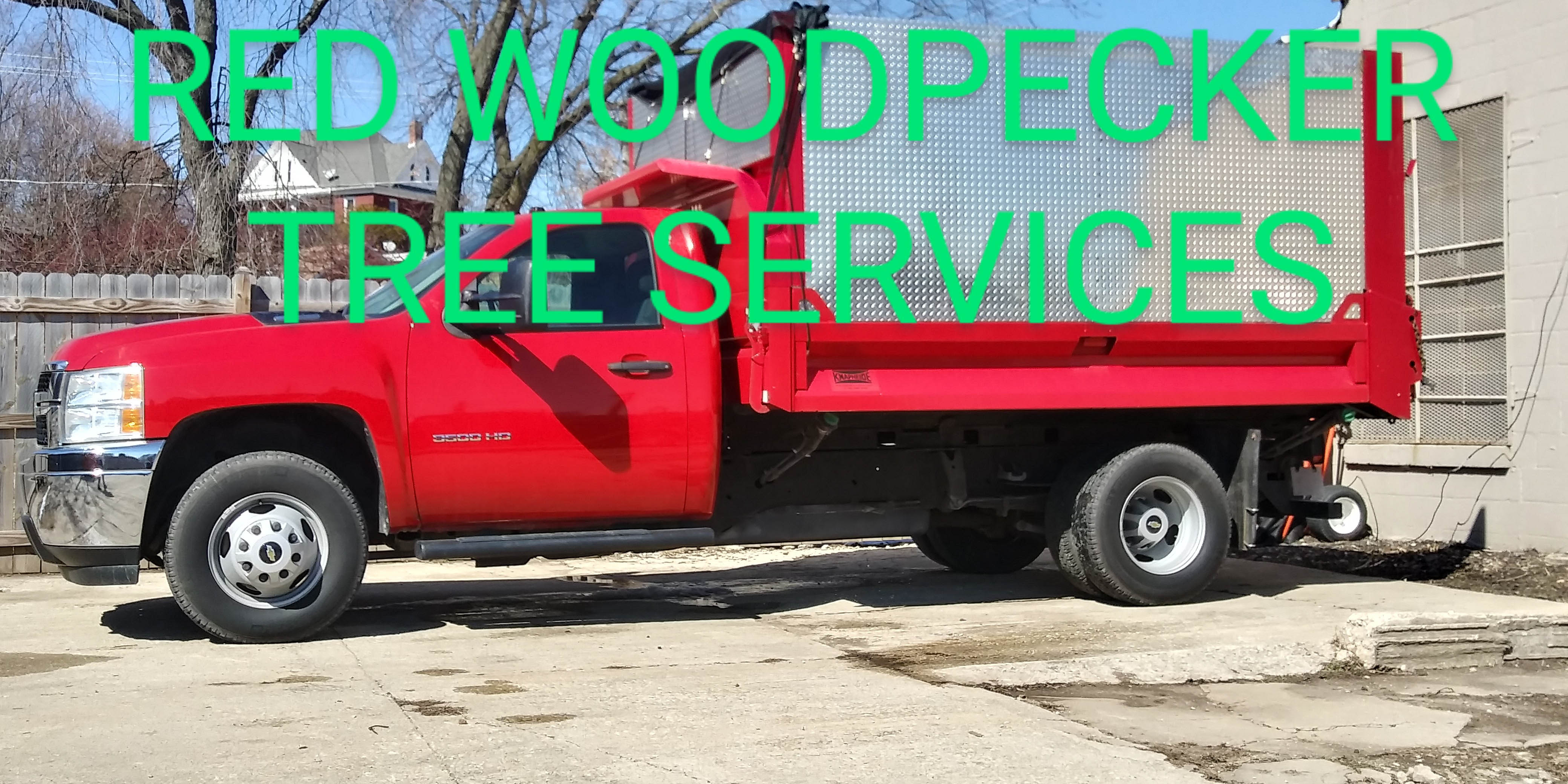 Red Woodpecker Tree Service Offers Stump Grinding in Aurora, IL 60505