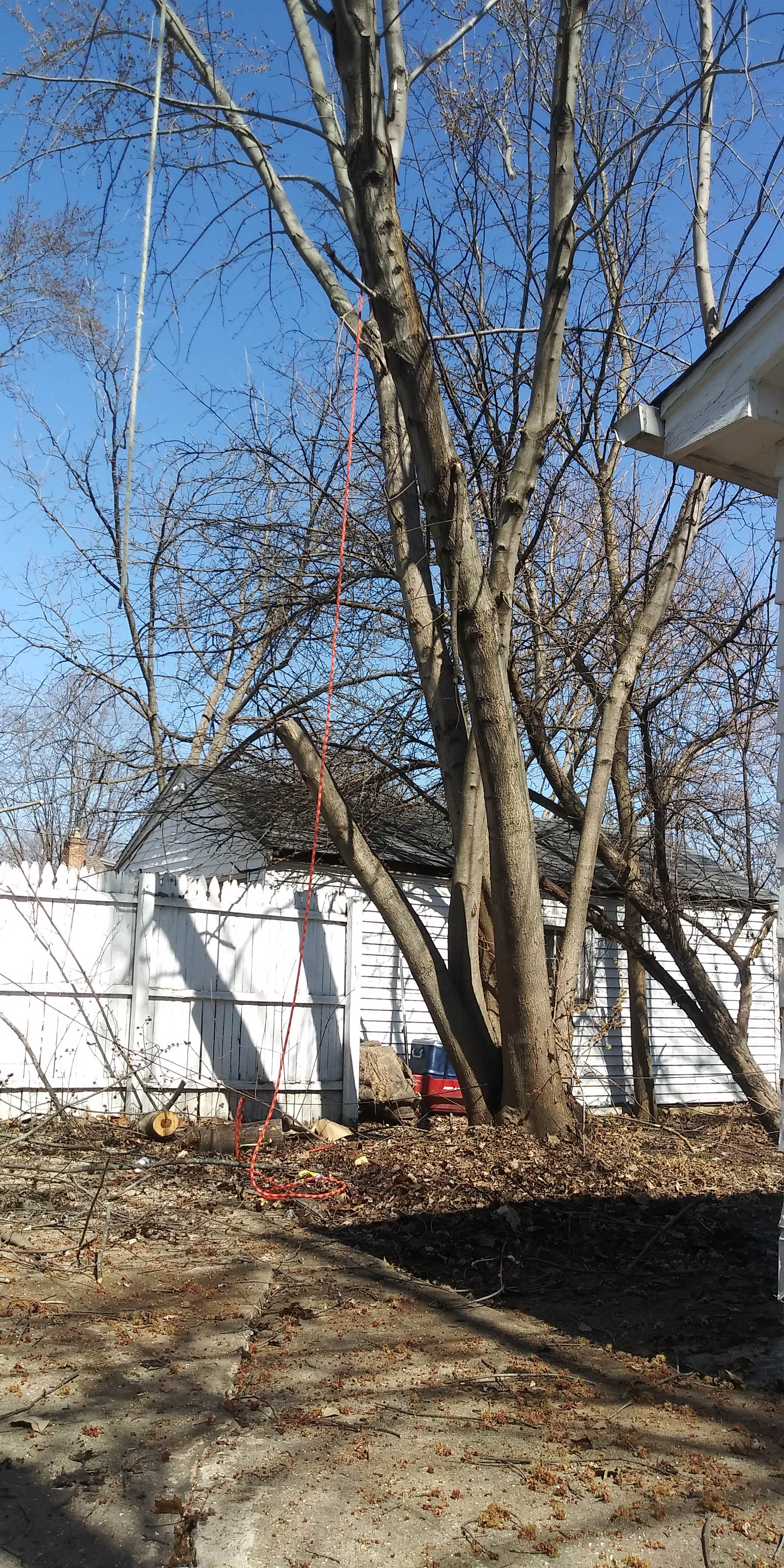 Red Woodpecker Tree Service Offers Stump Grinding in Aurora, IL 60505