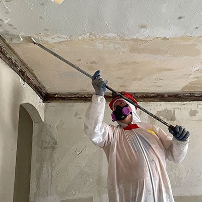 Mold Remediation