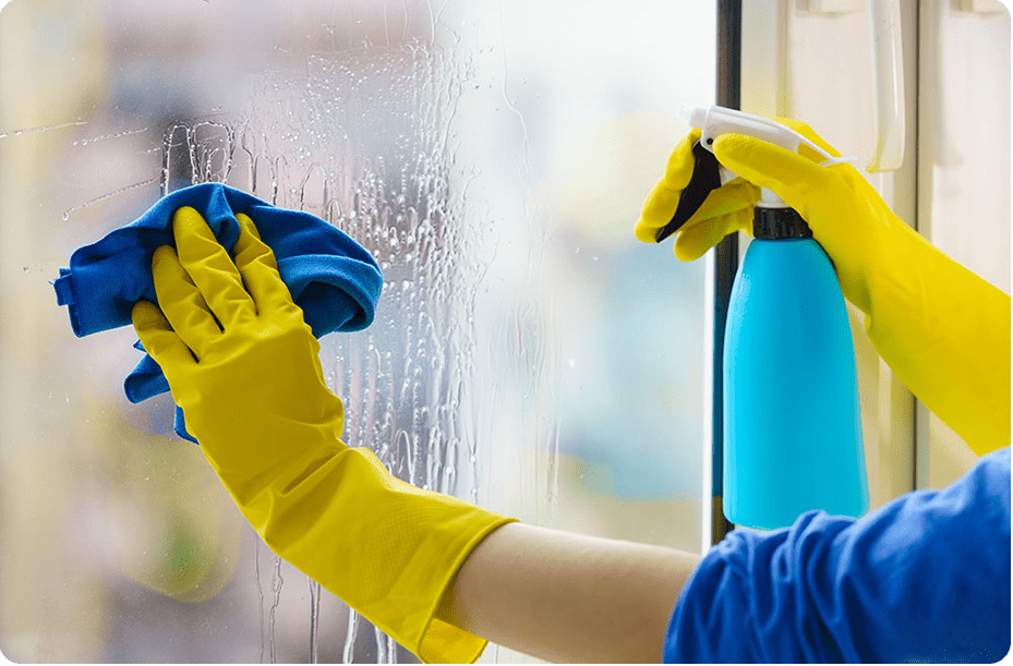 Residential Window Cleaning